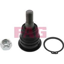Pivot axa DR-ST inferior fata diametru con 15.2mm NISSAN ALMERA II. ALMERA TINO. MAXIMA-MAXIMA QX V. PRIMERA 1.6-3.5 03.00- - FA