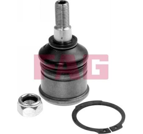 Pivot axa DR-ST inferior fata diametru con 14.6. 40mm HONDA ACCORD III. CIVIC II. CIVIC IV. CRX II. PRELUDE II. PRELUDE III. PRE