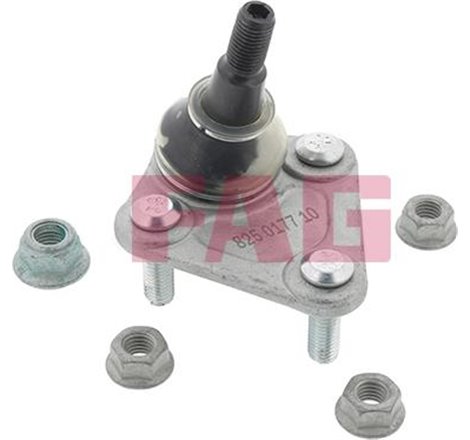 Pivot axa DR-ST inferior fata diametru con 15.6mm AUDI A3. TT. SEAT LEON. TOLEDO II. VW GOLF IV. NEW BEETLE 1.6-3.2 09.96-06.06 