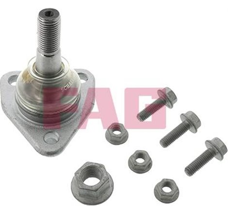 Pivot axa DR-ST superior fata diametru con 15.2mm FIAT 132. ARGENTA. FSO 125P. POLONEZ. POLONEZ I. POLONEZ II 1.3-2.5D 10.67-10.