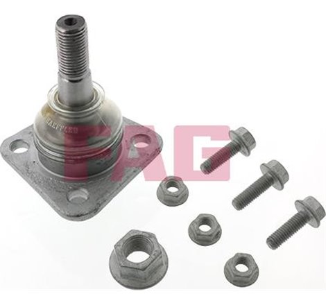 Pivot axa DR-ST inferior fata diametru con 15.2mm FIAT 132. ARGENTA. FSO 125P. POLONEZ. POLONEZ I. POLONEZ II 1.3-2.5D 10.67-10.