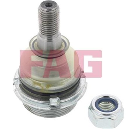 Pivot axa DR-ST inferior fata diametru con 15.9mm CITROEN C5 I. C5 II. C5 II-KOMBI. C5 I-KOMBI. XANTIA. XANTIA-KOMBI. XM. PEUGEO
