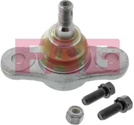 Pivot axa DR-ST inferior fata diametru con 15.1mm HYUNDAI ELANTRA IV. I30. KIA CARENS III. CEED. CERATO II. MAGENTIS II. PRO CEE