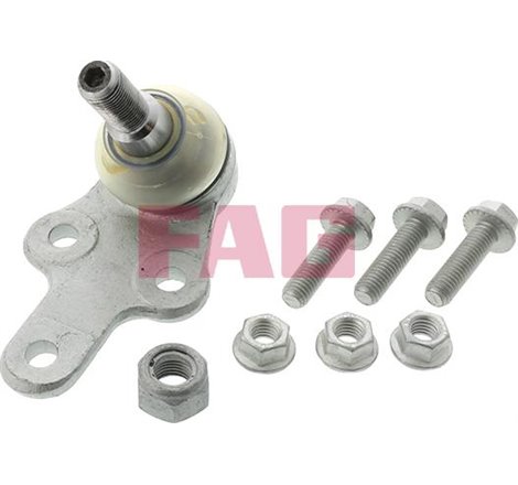 Pivot axa DR-ST inferior fata diametru con 18mm VOLVO C30. C70 II. S40 II. V50. FORD C-MAX. FOCUS C-MAX. FOCUS II. FOCUS II-KOMB