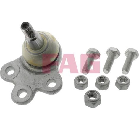 Pivot axa DR-ST inferior fata diametru con 15.1mm CHEVROLET CAPTIVA. OPEL ANTARA A 2.0D-3.2 06.06- - FAG-825031410