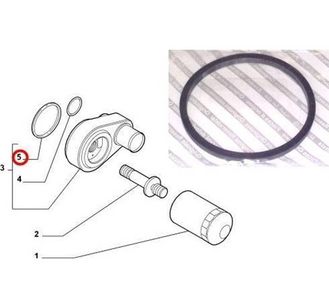 Set garnituri, radiator ulei - FCA-504065447