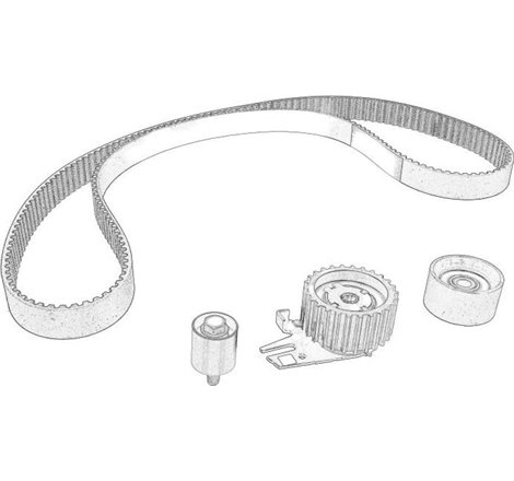 Set curea de distributie - FCA-6000629053