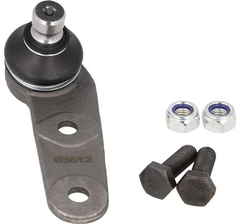 Pivot axa Dreapta inferior fata diametru con 17mm. cu materiale auxiliare AUDI 80 B3. 90 B3. COUPE B2 1.6-2.1 09.82-10.91 - Febi