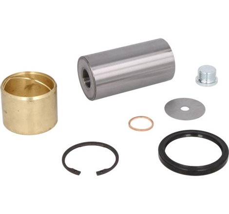 Kit pivot 55mmx109mm MERCEDES ACTROS. ACTROS MP2-MP3. AROCS. ATEGO. NG. SK 08.73- - Febi Bilstein-06891