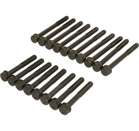 Set surub, chiulasa - Ajusa-81035300