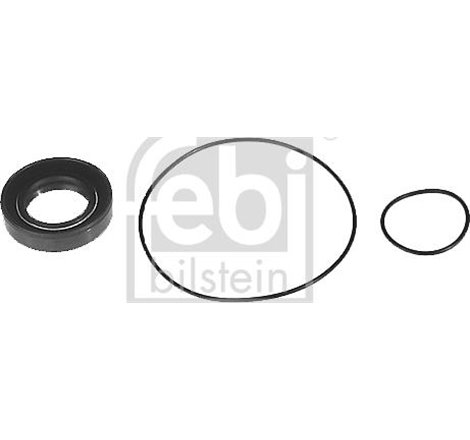 Set garnitura pompa de vid MERCEDES S W108. W109. S W116. SL R107 2.7-4.9 01.70-08.89 - Febi Bilstein-08711