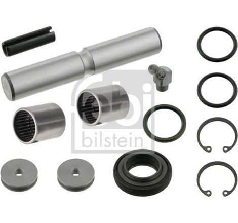 Kit pivot Fata rulmenti cu ace. lungime 132mm MERCEDES T1 601. T1 601. 611. T1 602. T1 B601. T1 B602 2.3-3.0D 04.77-02.96 - Febi
