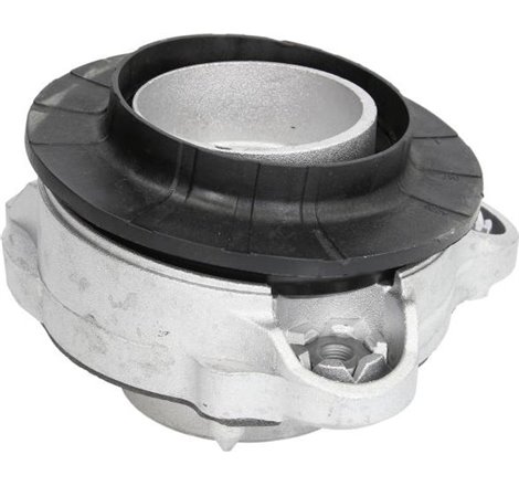 Montare cu structura MacPherson Fata Stanga cu rulment FIAT DUCATO 2.0D-Electric 07.06- - Febi Bilstein-102687