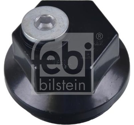 Wheel hub cover M80x2. M27x2 IVECO EUROCARGO I-III. EUROCARGO IV. EUROCARGO V. MAGIRUS 8040.25B.4200-F4AFE411C 01.91- - Febi Bil