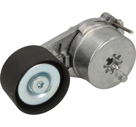 Multi-V belt tensioner RVI C. K. T. VOLVO FM II. FM III. FMX II. FMX III D11A-330-G13C460 01.10- - Febi Bilstein-177687