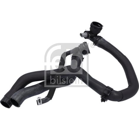 Furtun radiator - Febi Bilstein-181756