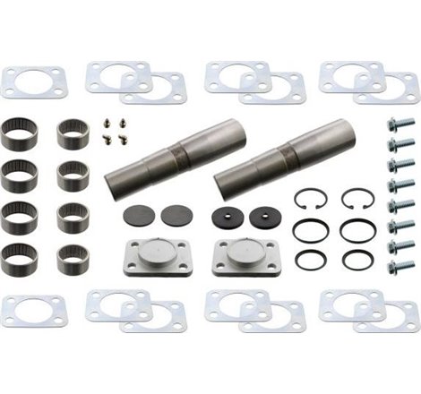 Kit pivot cu rulment 43-47mmx225mm IVECO EUROCARGO I-III. EUROSTAR. EUROTECH MP. EUROTECH MT. EUROTRAKKER. STRALIS I. S-WAY 01.9