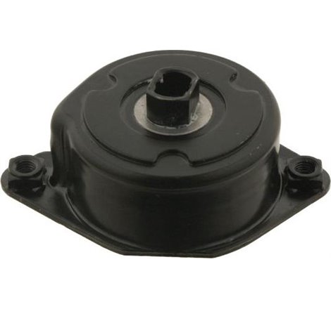 compresor curea de tensionare klimatezacji 1.8. 2.0. 2.5. 3.0 Diesel E46. E39. E38. BMW X5 role 64 55 2 354 036 - Febi Bilstein-