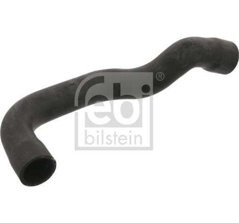 Furtun radiator bottom R BMW 3 E36 1.6-1.8 09.90-08.93 - Febi Bilstein-37131