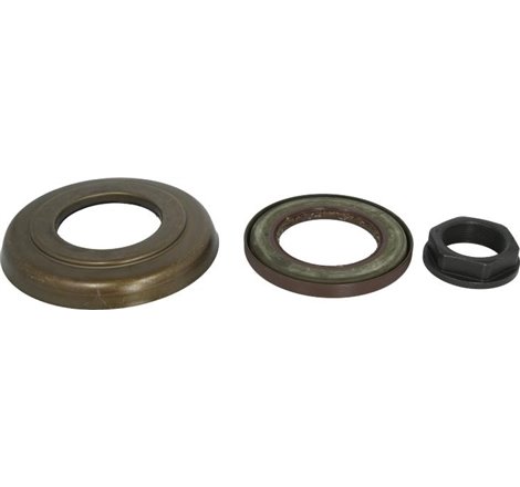 Ring gear nut M52x2 DAF 105XF. 95. 95XF DAF 75 CF. 85 CF. 95 XF. CF 75. CF 85. LF. LF 55. XF 106. XF 95 01.97- - Febi Bilstein-4