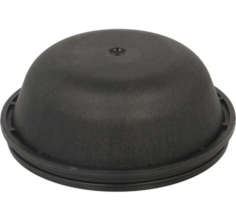 Capacul butucului rotii RVI KERAX. MAGNUM. MIDLUM. PREMIUM. PREMIUM 2 dCi11-270-MIDR06.24.65C-46 02.96- - Febi Bilstein-46134