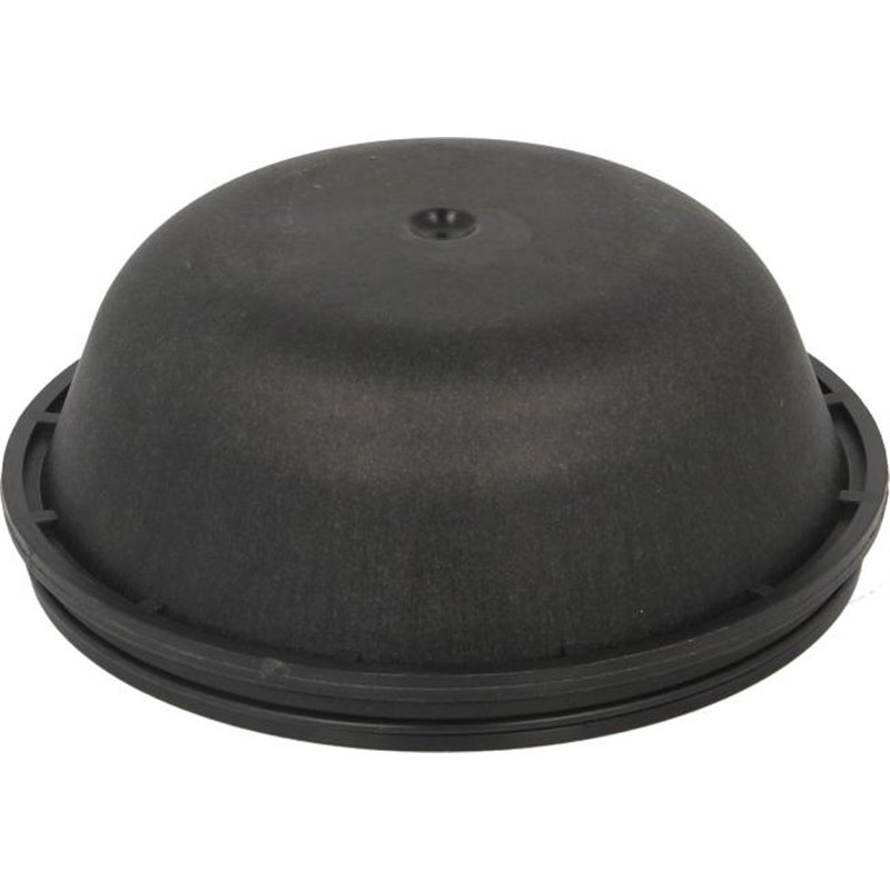 Capacul butucului rotii RVI KERAX. MAGNUM. MIDLUM. PREMIUM. PREMIUM 2 dCi11-270-MIDR06.24.65C-46 02.96- - Febi Bilstein-46134