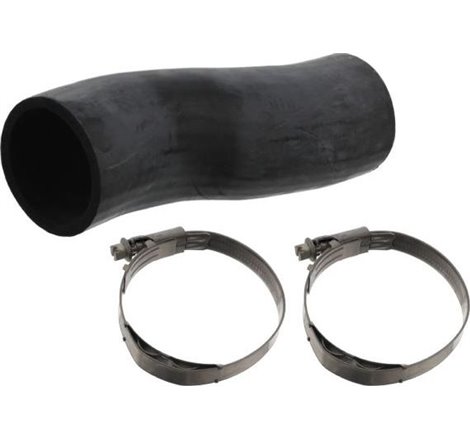 Furtun radiator - Febi Bilstein-49096