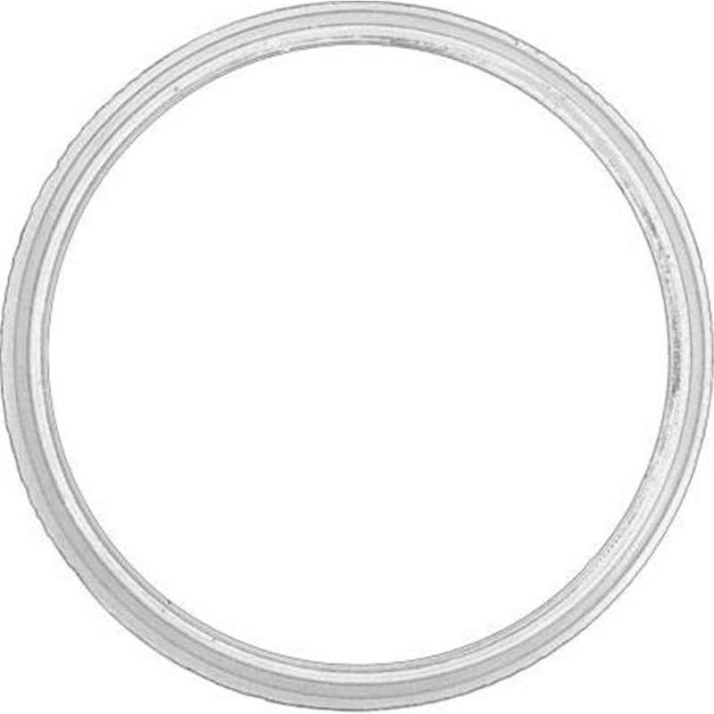 Garnitura, pompa vacuum - FORD-1794375