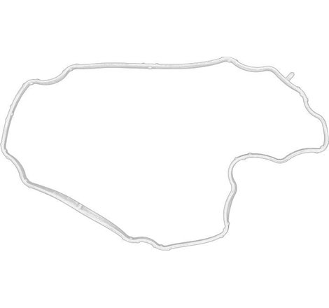 Garnitura, chiulasa - FORD-1858115