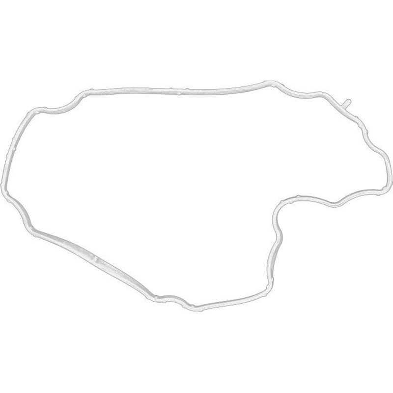 Garnitura, chiulasa - FORD-1858115