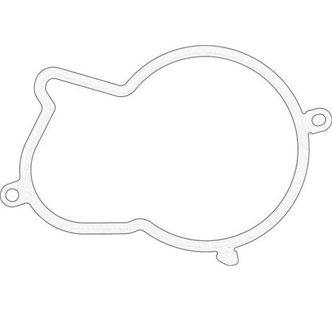 Garnitura, pompa injectie - FORD-1892645