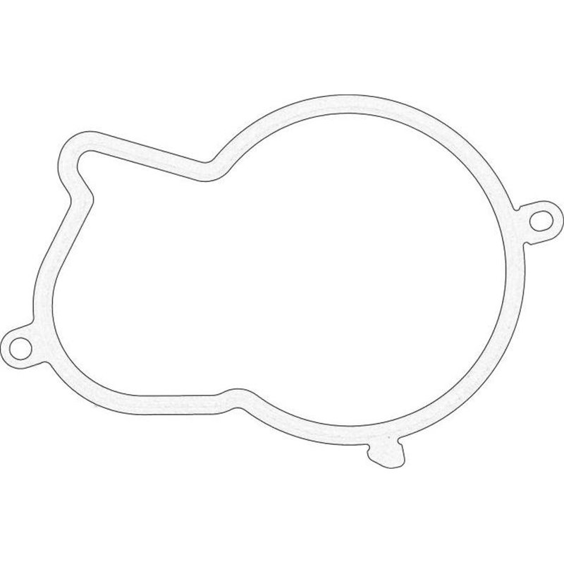 Garnitura, pompa injectie - FORD-1892645