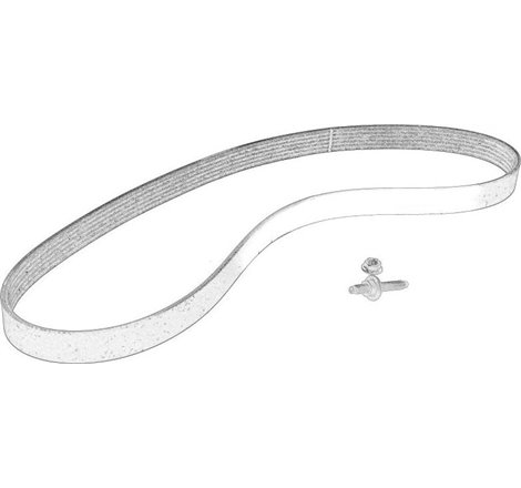 Curea transmisie cu caneluri - FORD-2115144