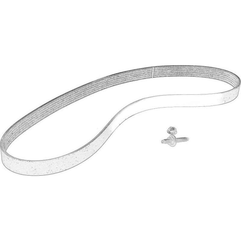 Curea transmisie cu caneluri - FORD-2115144