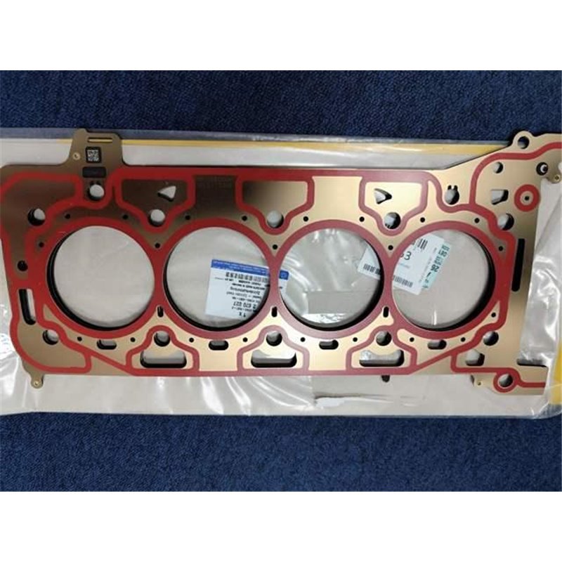 Garnitura, chiulasa - FORD-2670027