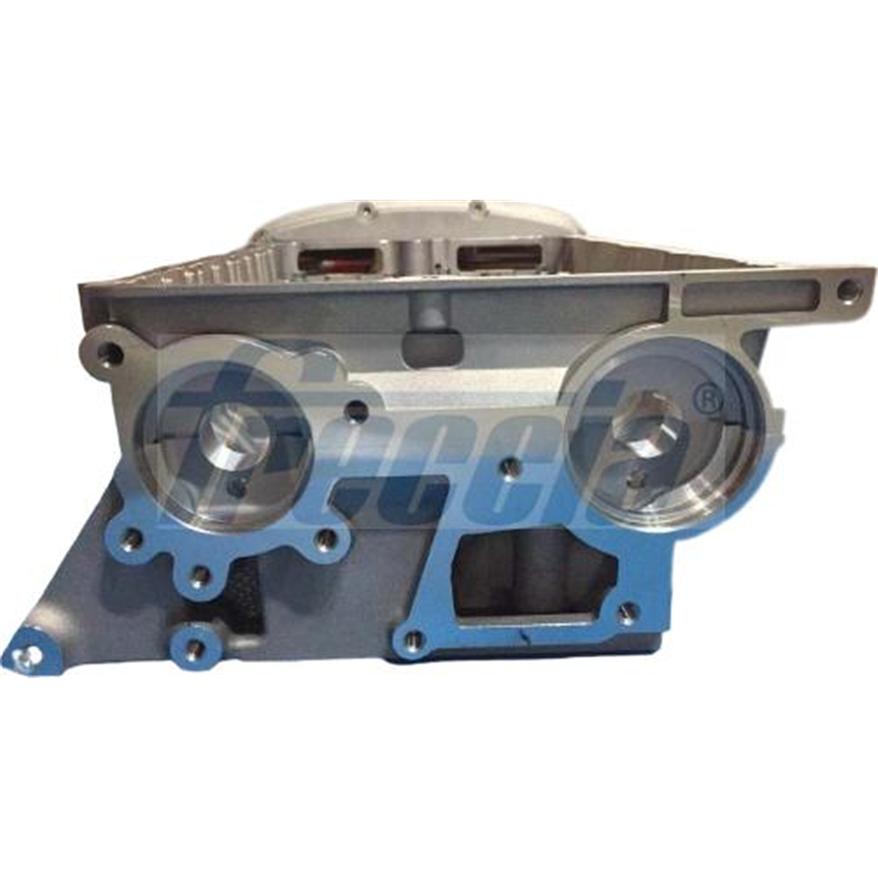 Chiulasa - Freccia-CH17-1049