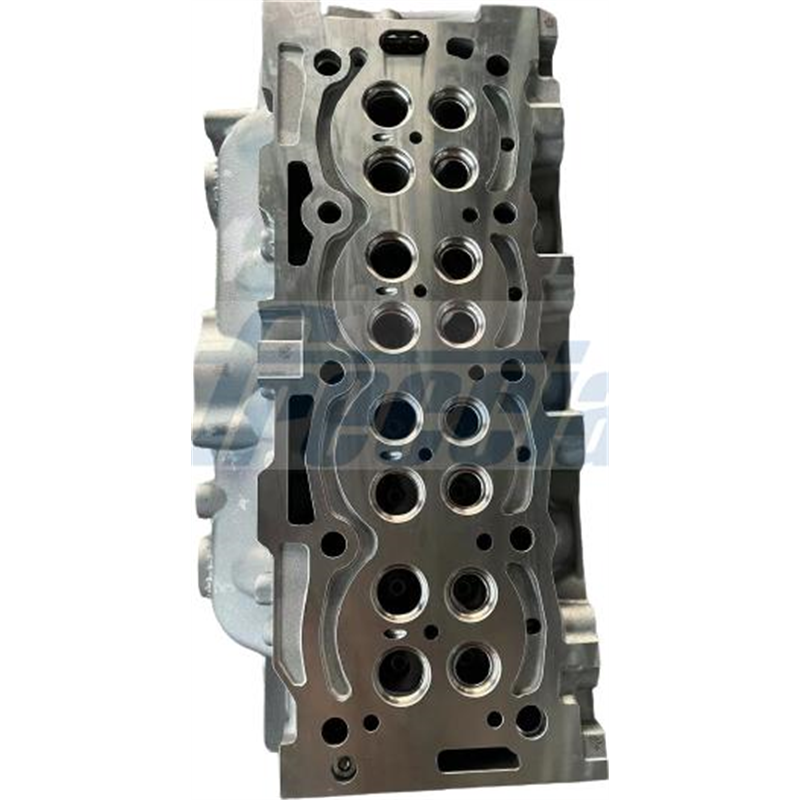 Chiulasa - Freccia-CH17-1057