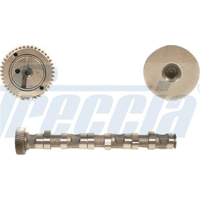 Ax cu came - Freccia-CM05-2122