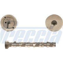 Ax cu came - Freccia-CM05-2122