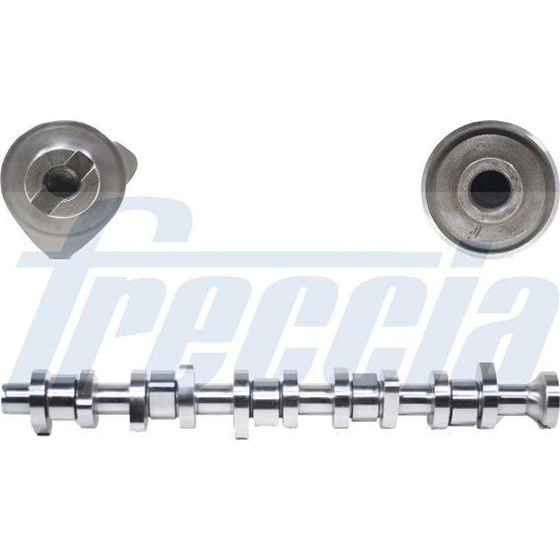 Ax cu came - Freccia-CM05-2125