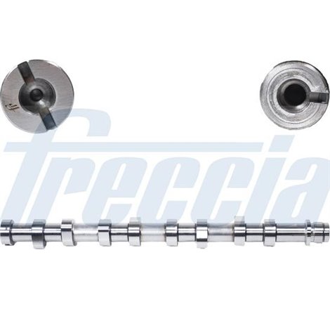 Ax cu came - Freccia-CM05-2144