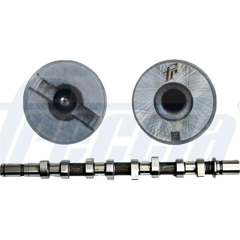 Ax cu came - Freccia-CM05-2151