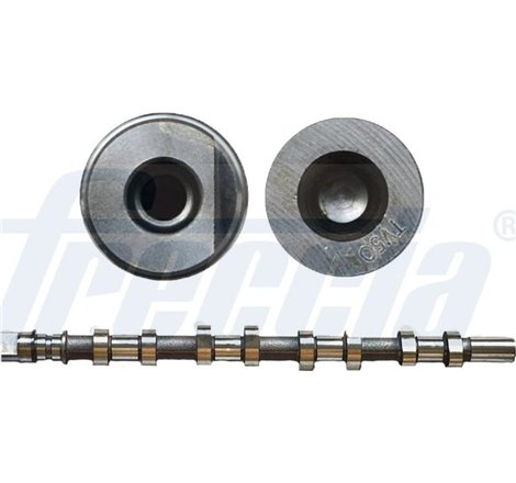 Ax cu came - Freccia-CM05-2165