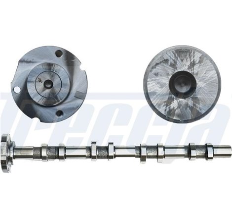 Ax cu came - Freccia-CM05-2172