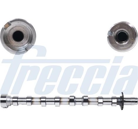 Ax cu came - Freccia-CM05-2175