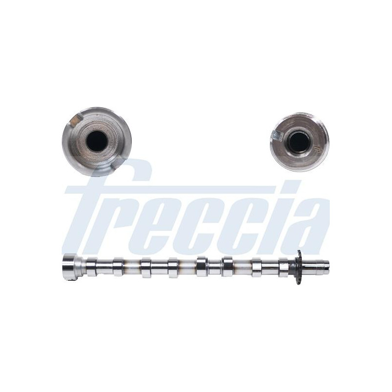 Ax cu came - Freccia-CM05-2175