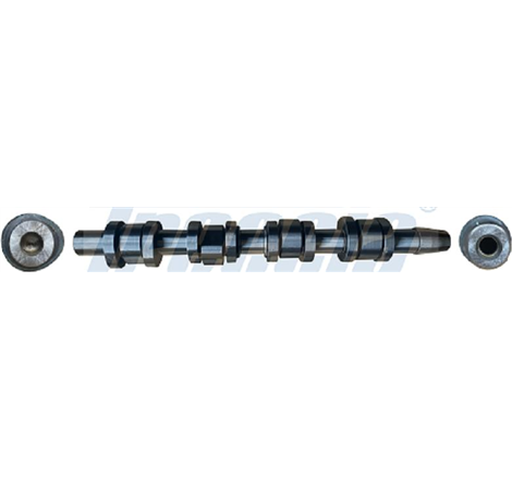 Ax cu came - Freccia-CM05-2180