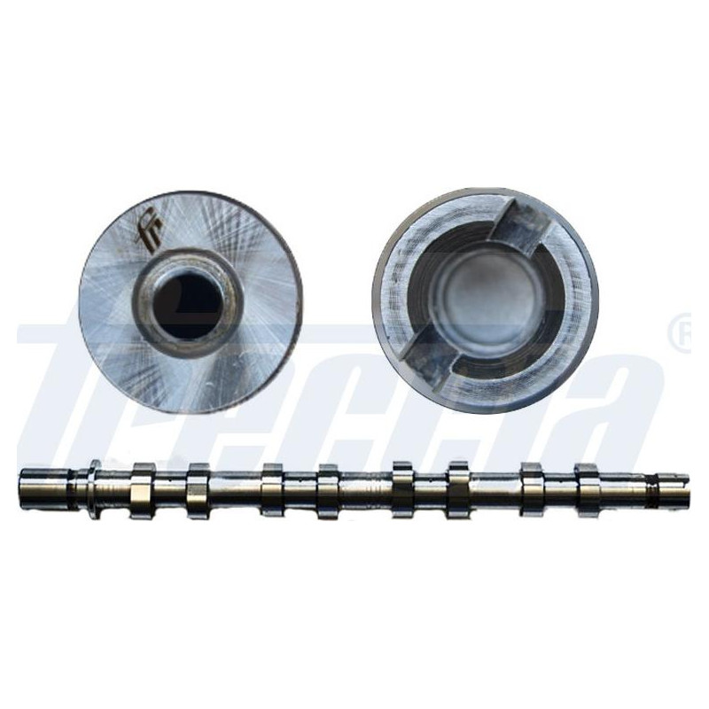 Ax cu came - Freccia-CM05-2183