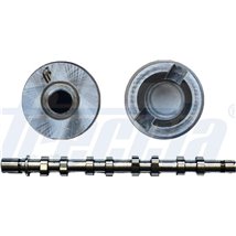 Ax cu came - Freccia-CM05-2183