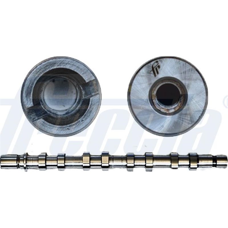 Ax cu came - Freccia-CM05-2184